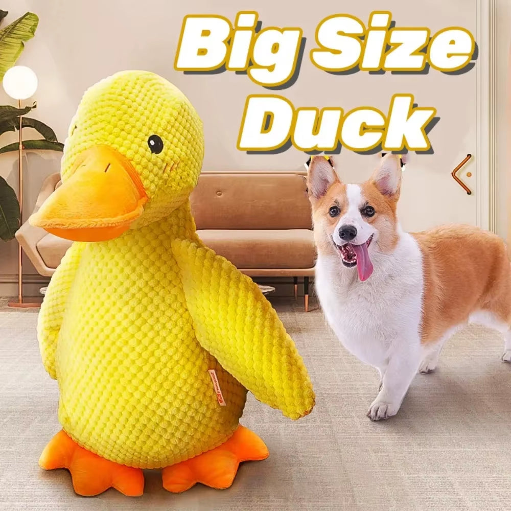 Calming Durable Durk