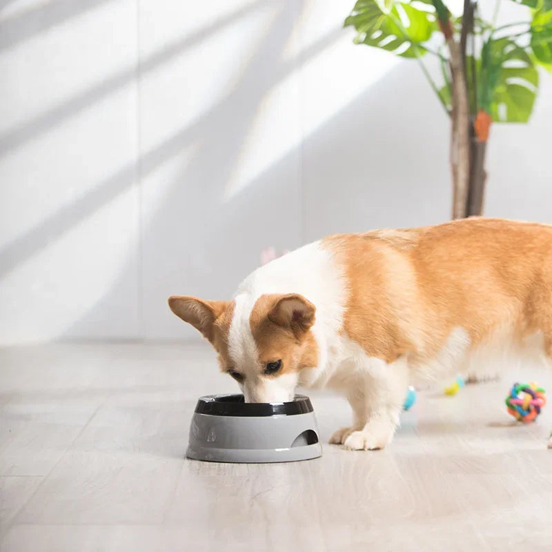 No-Spill Pet Water Bowl – Floating Dog & Cat Drinking Feeder, Portable Anti-Splash Bowl for Home & Travel
